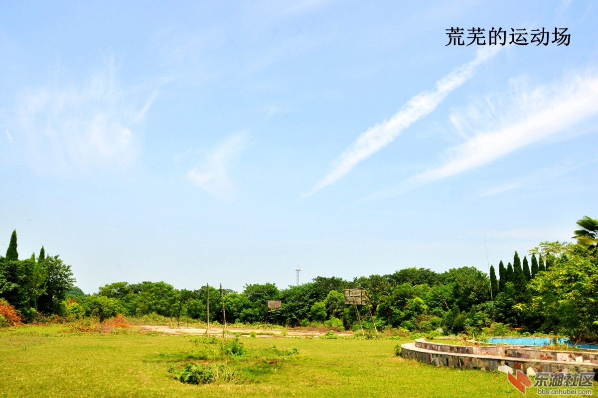 DSC_1284_副本.jpg