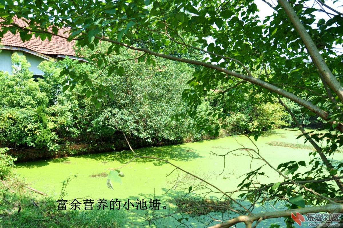 DSC_1294_副本.jpg