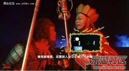 做假.jpg