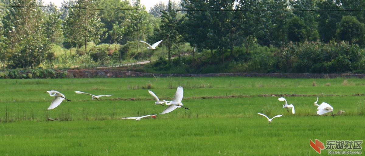 IMG_5677_副本.jpg