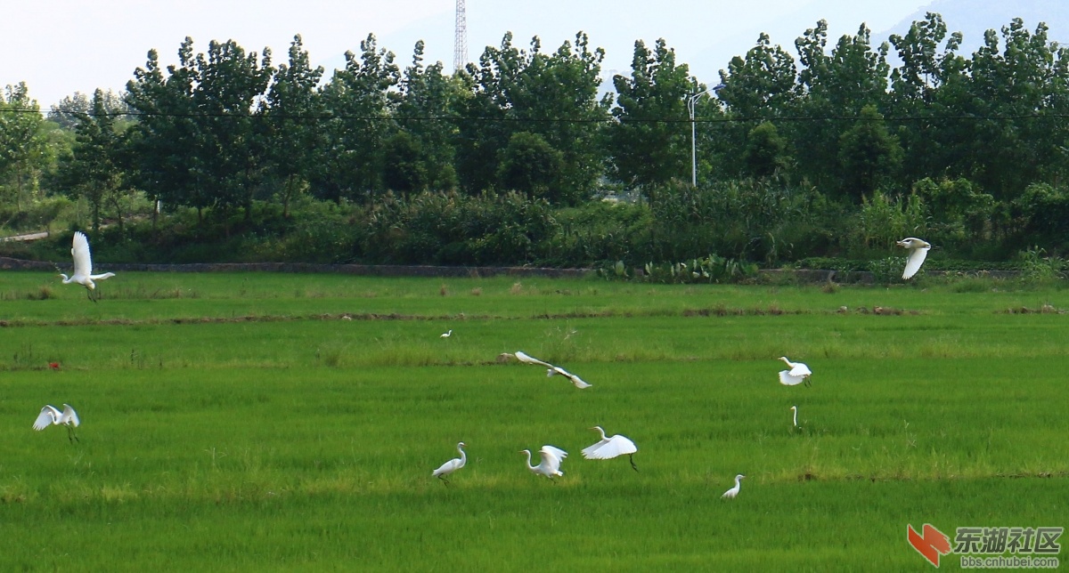 IMG_5676_副本_副本.jpg
