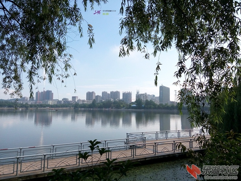 IMG_20140802_091854_副本.jpg