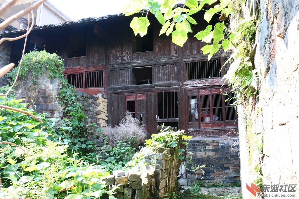 02.jpg