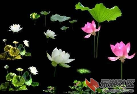 QQ图片20140724154612.jpg