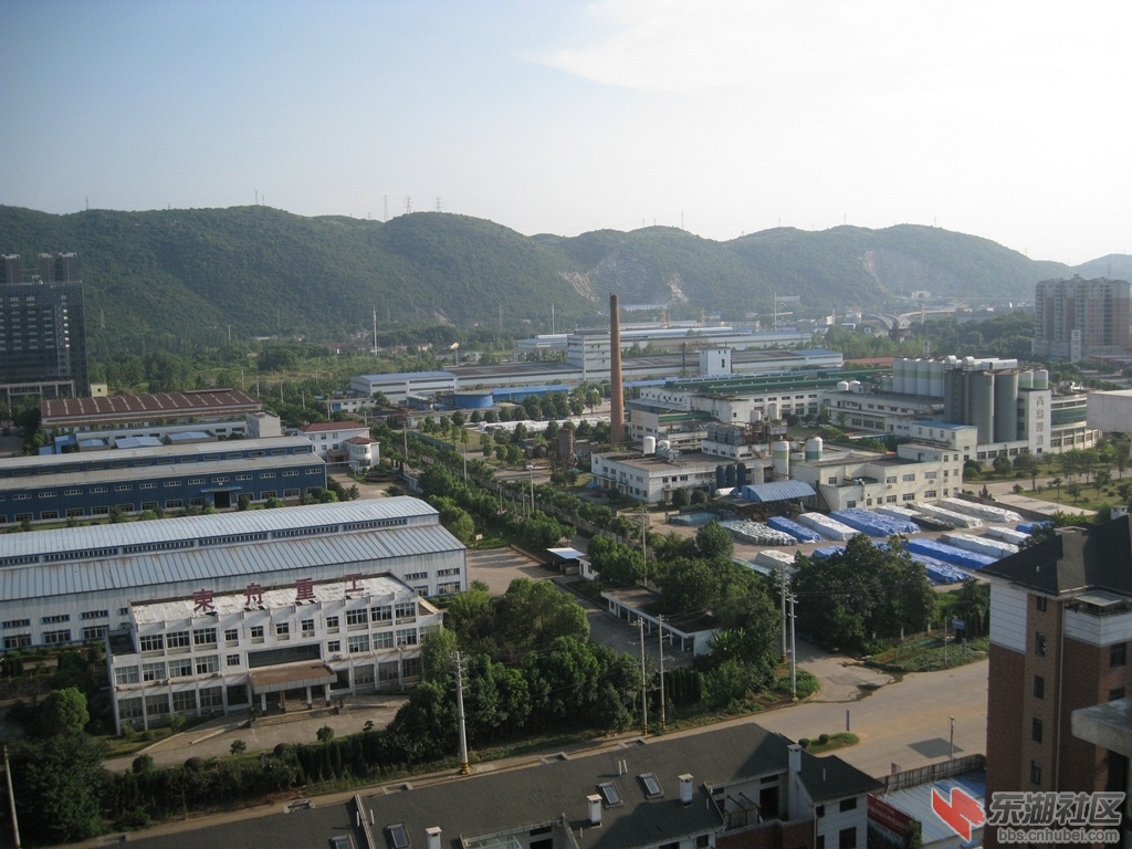 05.jpg