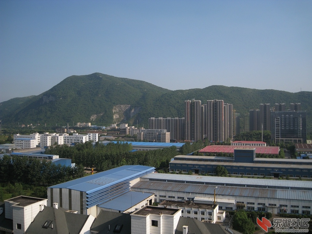 06.jpg