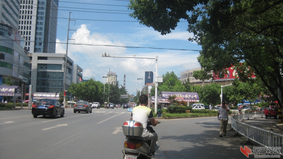 010.jpg