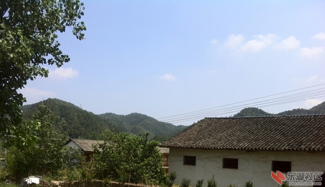 IMG_20140803_141110.jpg