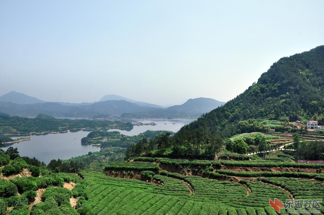 水潤荊楚-走進蘄春縣仙人湖水利風景區