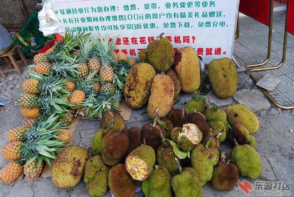 psb (55).jpg