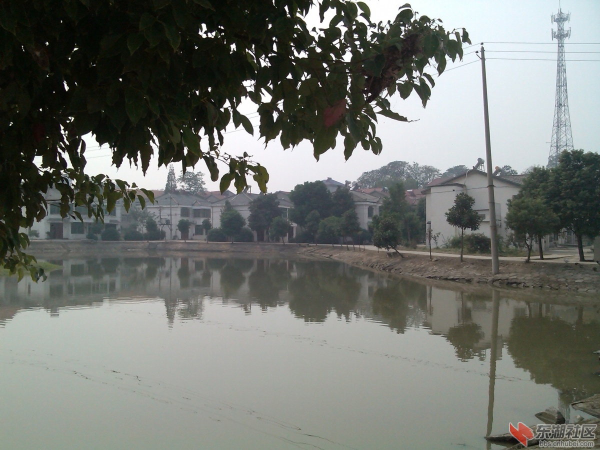 IMG_20131021_114445.jpg
