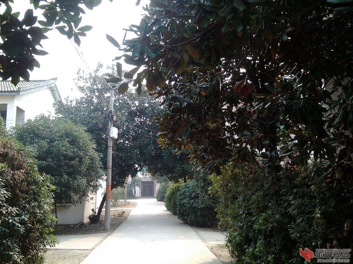 IMG_20131021_114709.jpg2.jpg