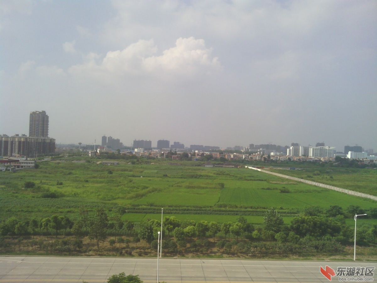 IMG_20140803_151459.jpg