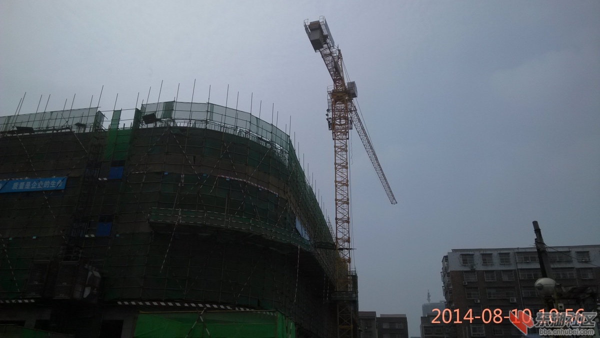 IMG_20140810_105651.jpg