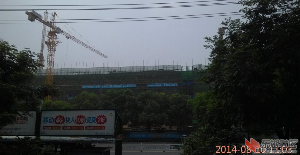 IMG_20140810_110328.jpg