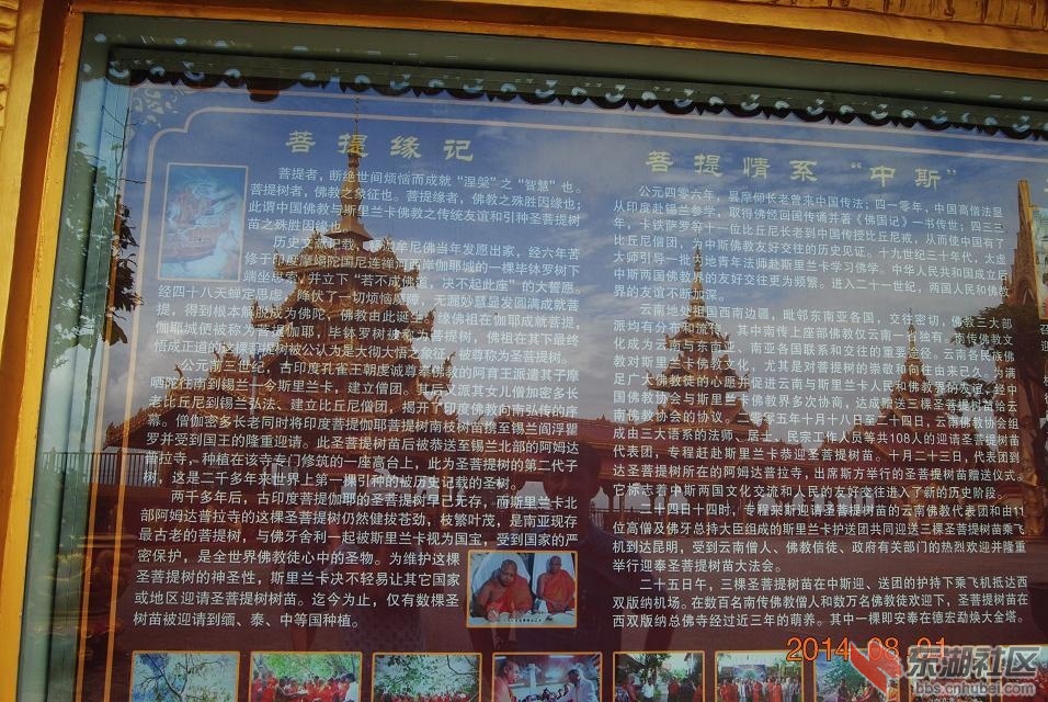 psb (12).jpg