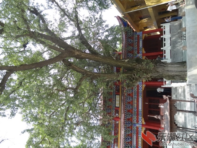 DSC03633.JPG