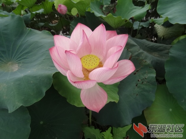 DSC03650.JPG