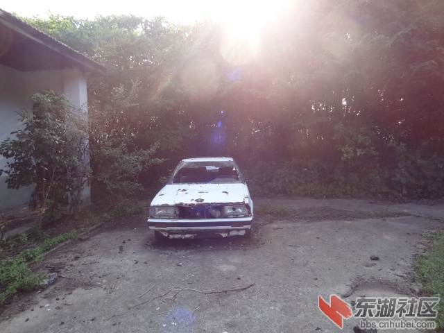 DSC03679.JPG