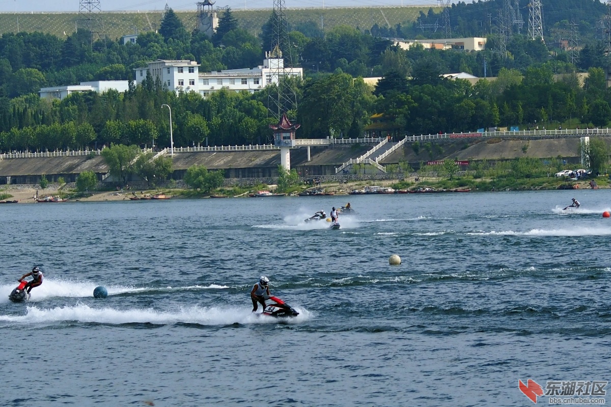 P81001431.jpg