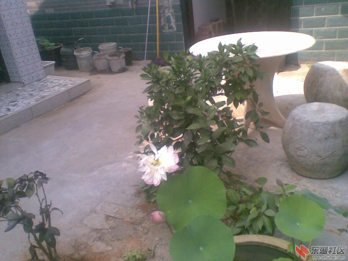 20140728(002).jpg