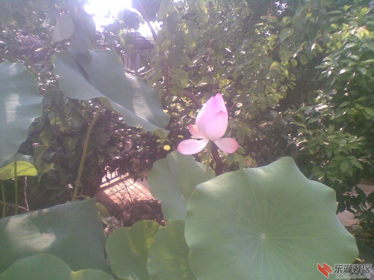20140728(006).jpg