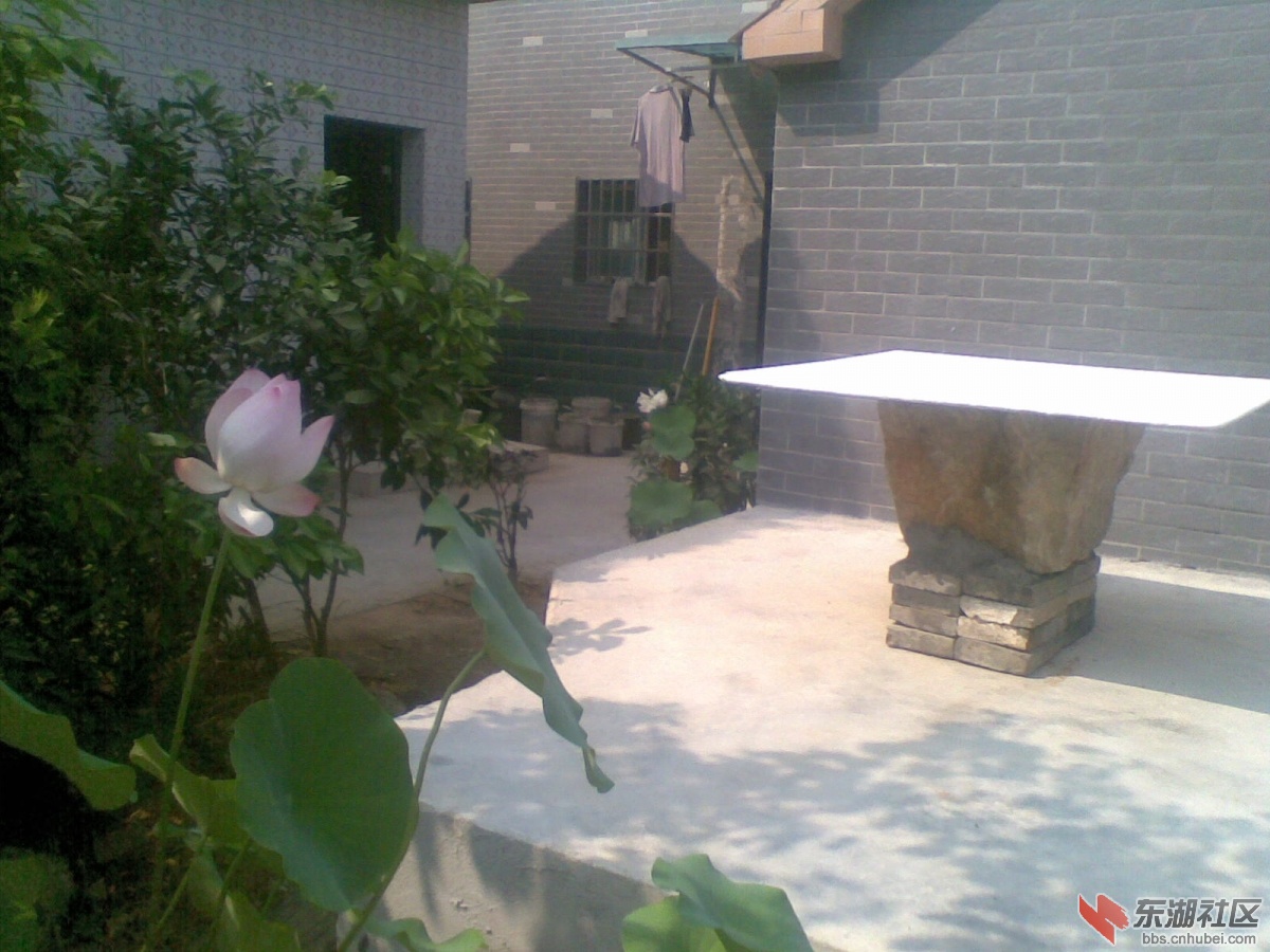 20140728(007).jpg