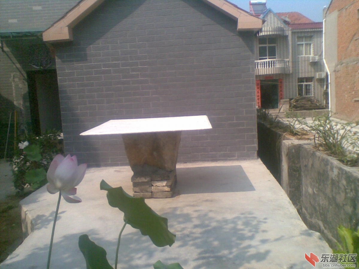 20140728(008).jpg