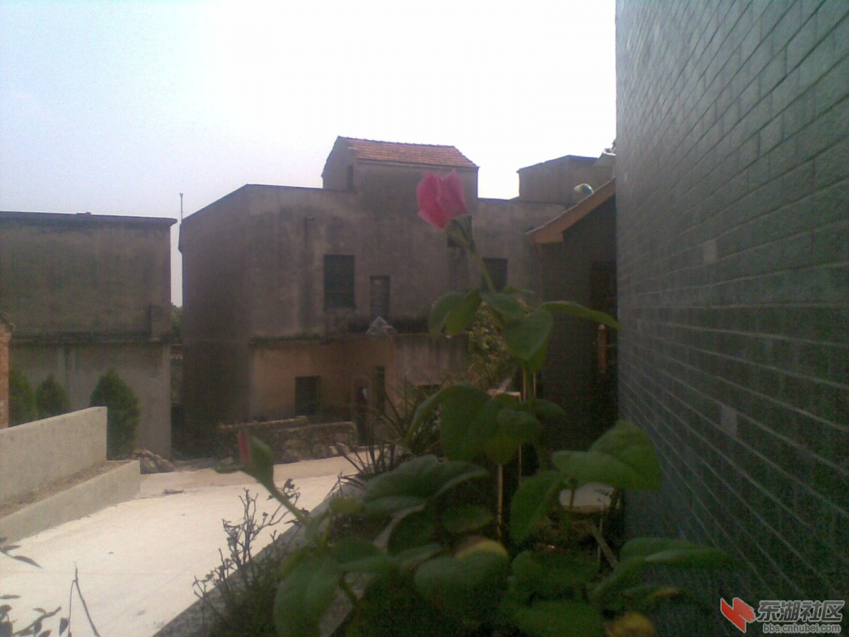 20140728(010).jpg