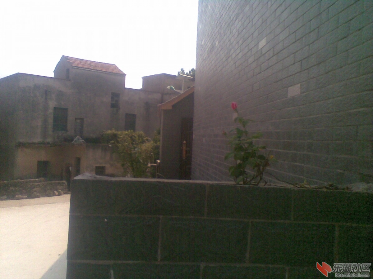 20140728(009).jpg