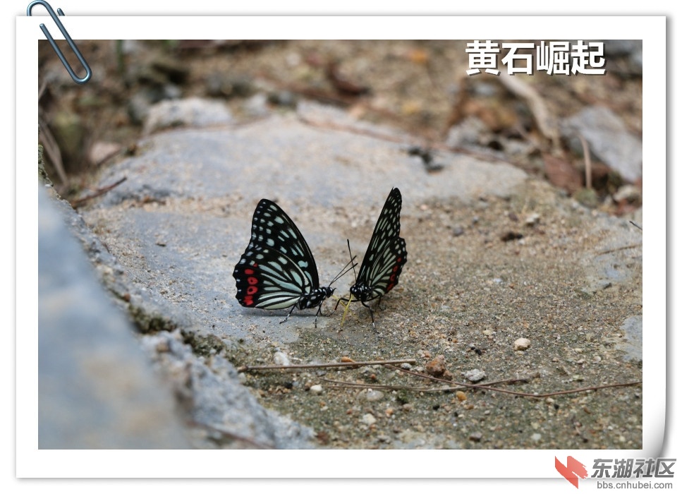 IMG_2240_副本.jpg