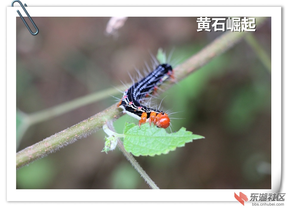 IMG_2337_副本.jpg