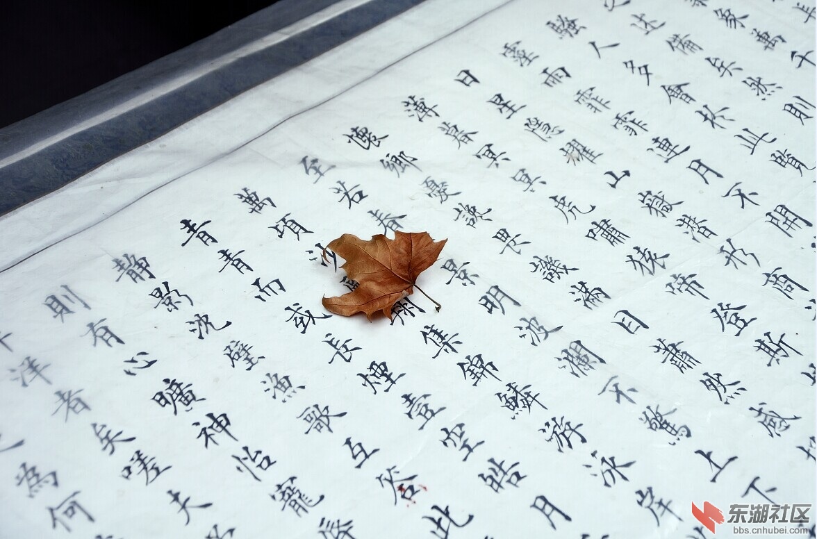 啊1.jpg