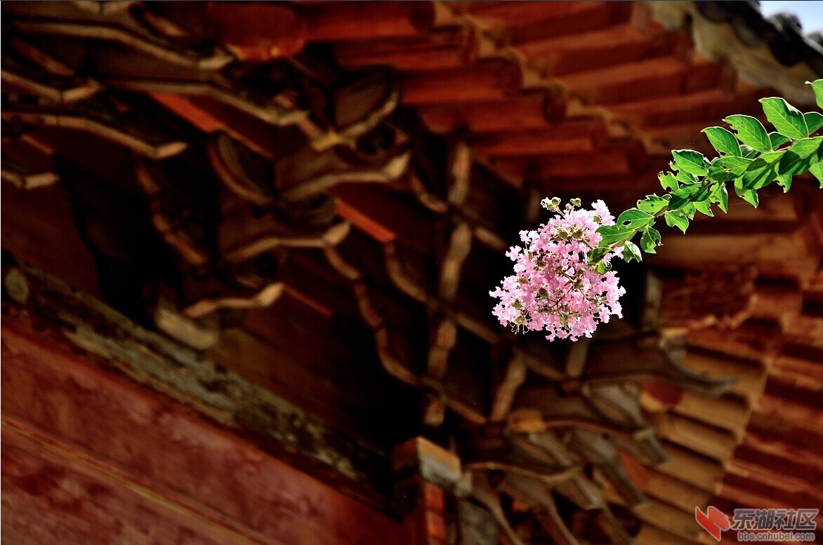 a4.jpg