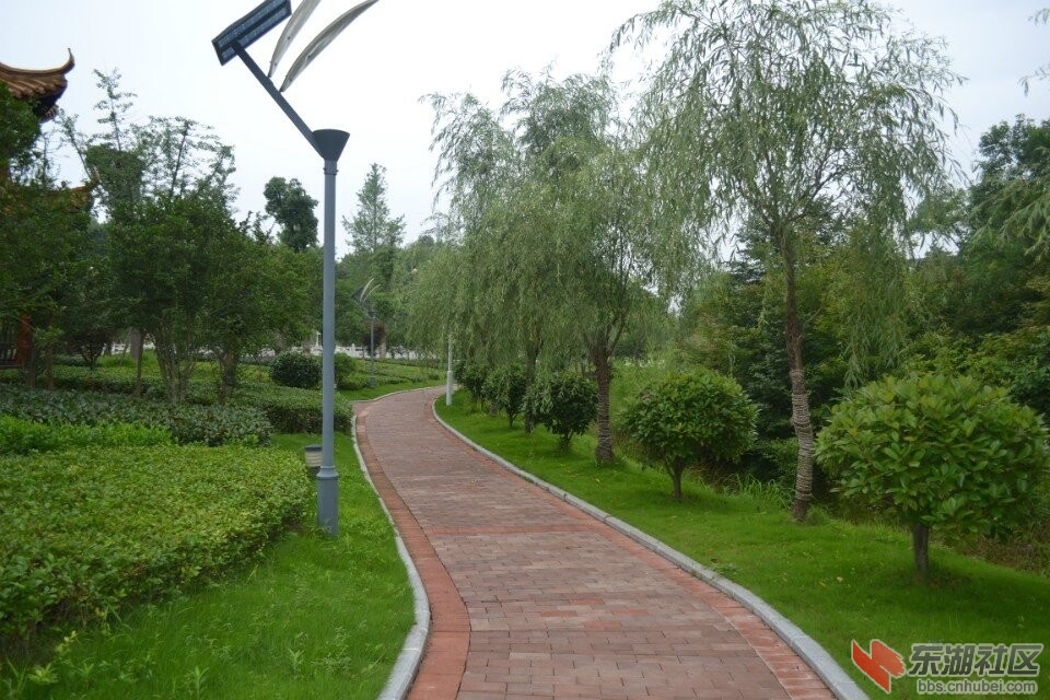 QQ图片20140703090439.jpg