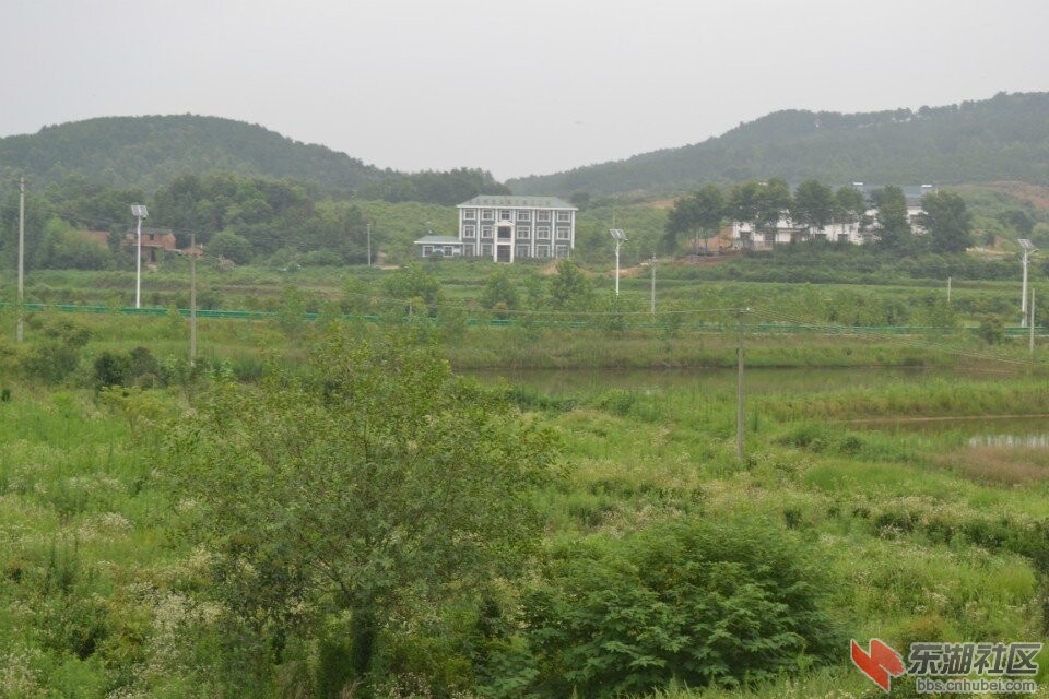 QQ图片20140703091756.jpg