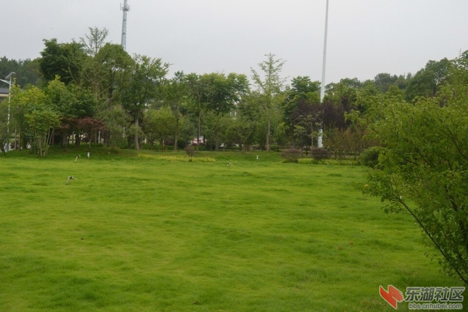 QQ图片20140703091811.jpg