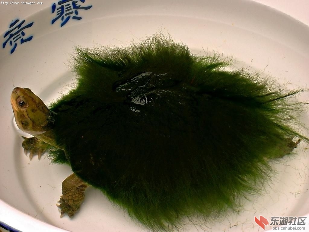 蕲春1.jpg