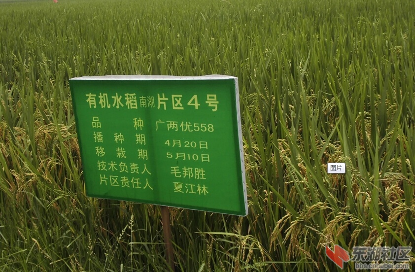 QQ截图20140816210405.jpg