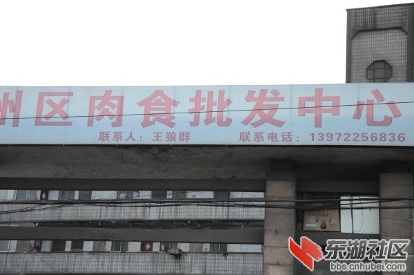 樊城人飘过