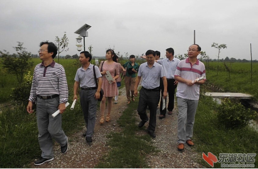 QQ截图20140816210439.jpg