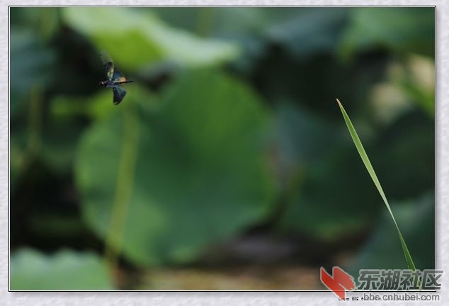 IMG_0028_副本.jpg
