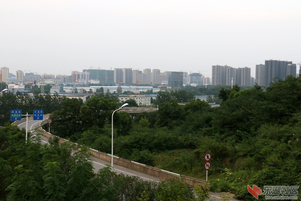 08.jpg