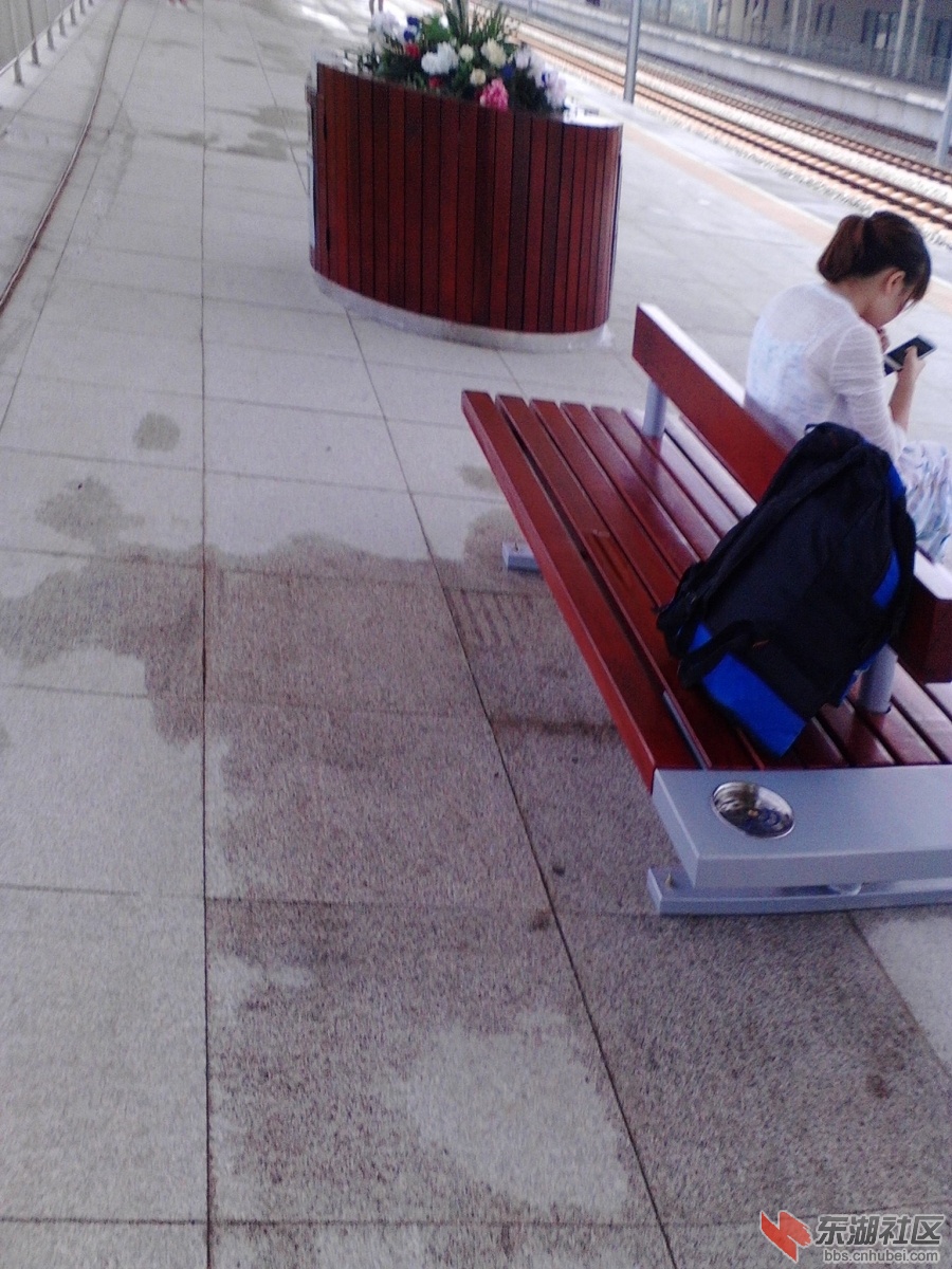 IMG20140814003.jpg