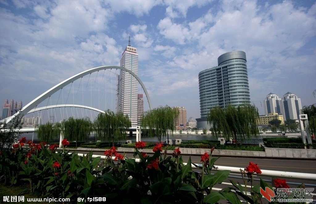 天津大沽桥2.jpg