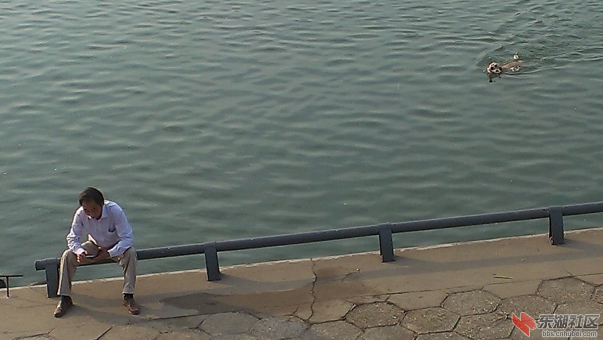 IMAG4507.jpg