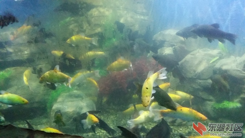 20140818_095546_副本.jpg