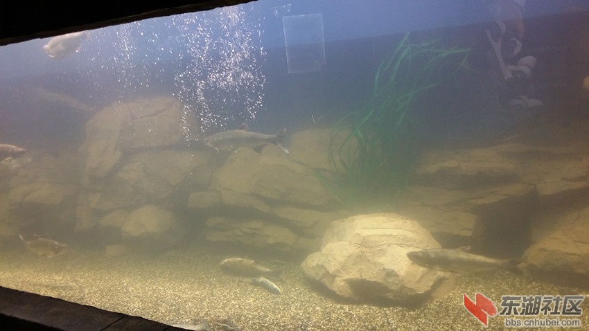 20140818_095649_副本.jpg
