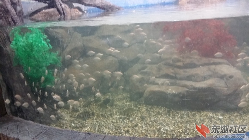 20140818_095755_副本.jpg