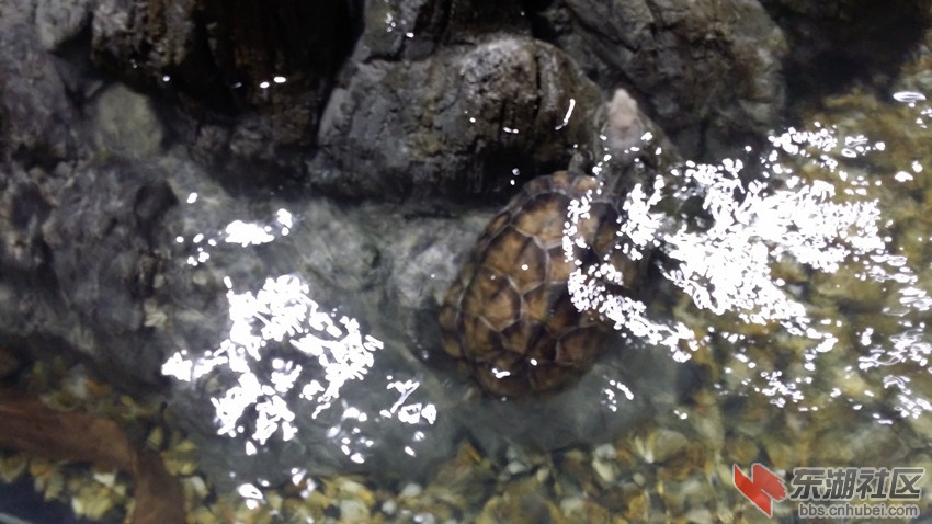 20140818_095818_副本.jpg